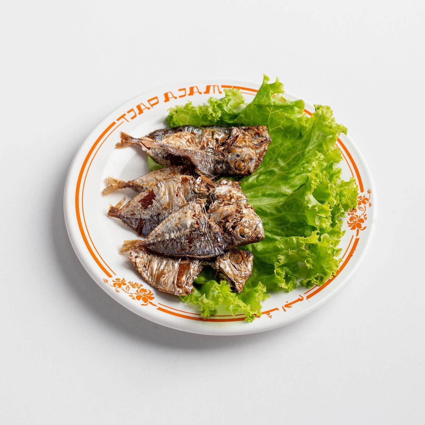 tjapajam38_1727941500_3470615413300882031_67014618767